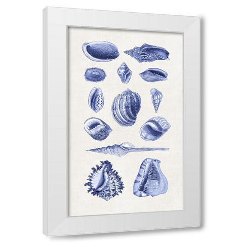 Blue Shells II White Modern Wood Framed Art Print by Haase, Andrea