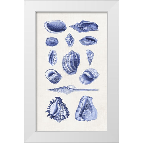 Blue Shells II White Modern Wood Framed Art Print by Haase, Andrea
