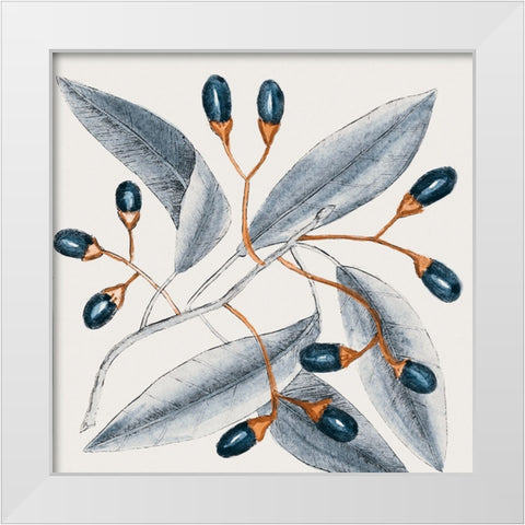Vintage Blue Botanical I White Modern Wood Framed Art Print by Haase, Andrea