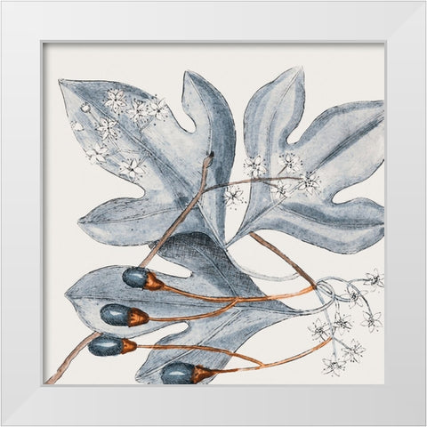 Vintage Blue Botanical II White Modern Wood Framed Art Print by Haase, Andrea