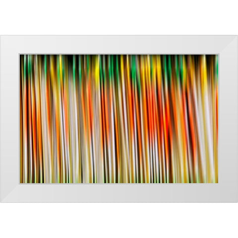 Undulate I White Modern Wood Framed Art Print by Nall, Skip