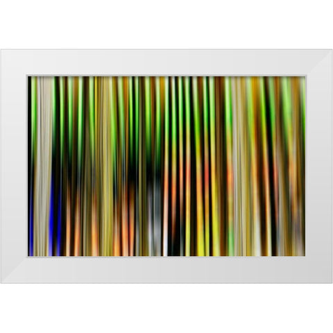 Undulate II White Modern Wood Framed Art Print by Nall, Skip