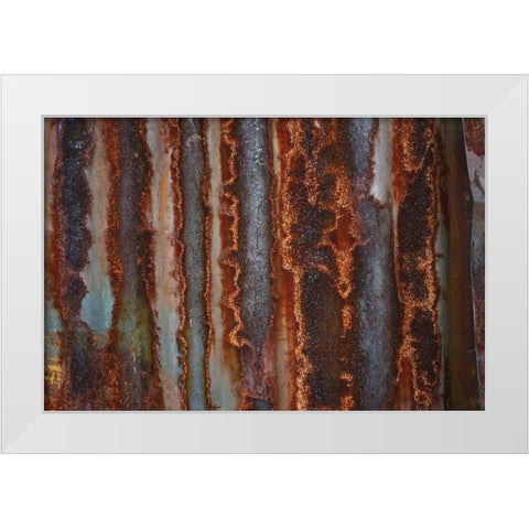 Metal III White Modern Wood Framed Art Print by Stelfox, Norm