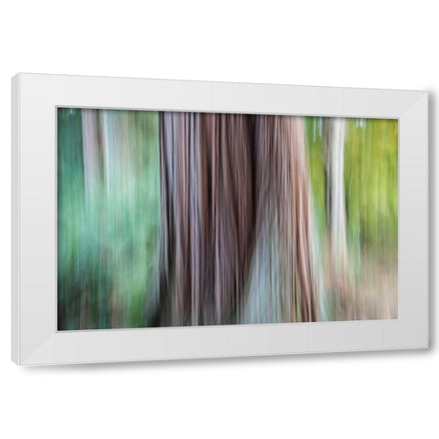 So Keen I White Modern Wood Framed Art Print by Stelfox, Norm