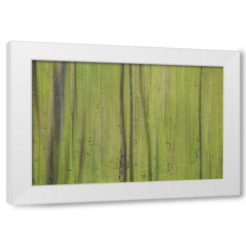 Green III White Modern Wood Framed Art Print by Stelfox, Norm