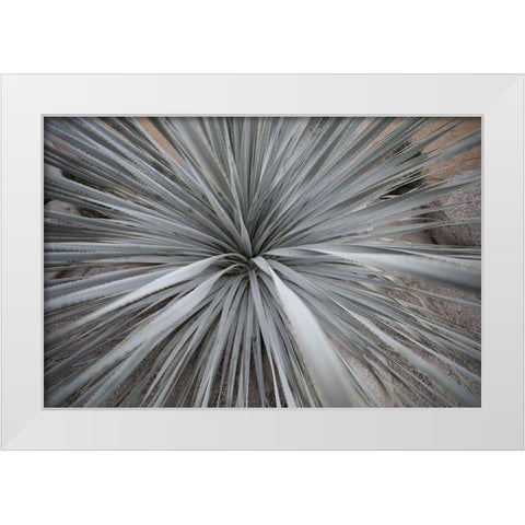 Sharp Rays White Modern Wood Framed Art Print by Stelfox, Norm