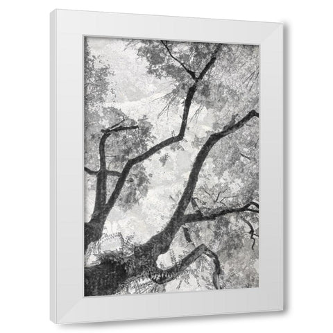 Gloomy Branches White Modern Wood Framed Art Print by Stelfox, Norm