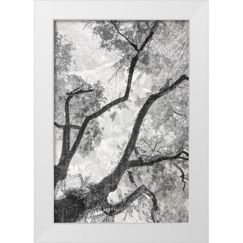 Gloomy Branches White Modern Wood Framed Art Print by Stelfox, Norm