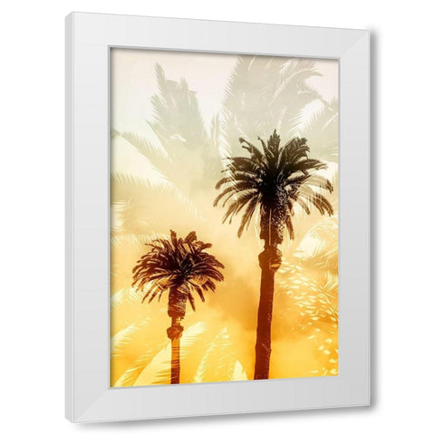 Palm Dreams  White Modern Wood Framed Art Print by Stelfox, Norm