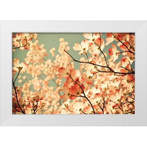 Pink Pic White Modern Wood Framed Art Print by St. Clair, Olivia Joy