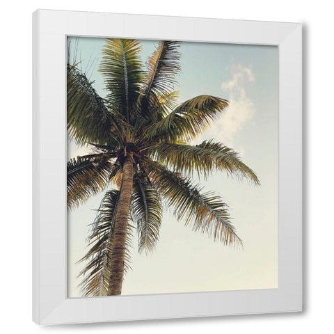 Coconut Palm  White Modern Wood Framed Art Print by Joy, Olivia
