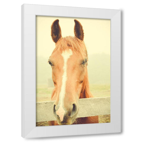 Willow Way Ranch White Modern Wood Framed Art Print by Joy, Olivia