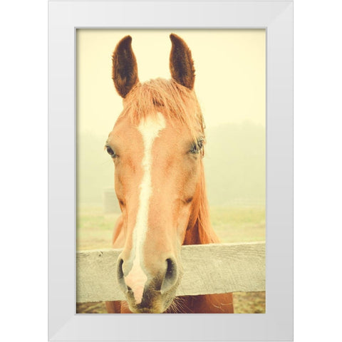 Willow Way Ranch White Modern Wood Framed Art Print by Joy, Olivia