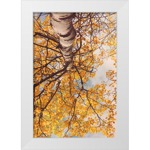 Fall Coloured Leaves  White Modern Wood Framed Art Print by Joy, Olivia