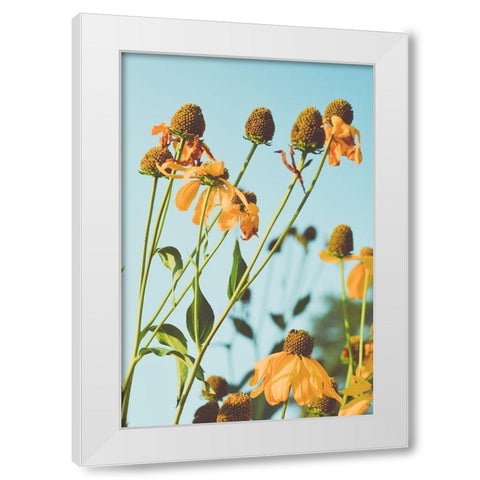 Reaching Sunlight  White Modern Wood Framed Art Print by Joy, Olivia
