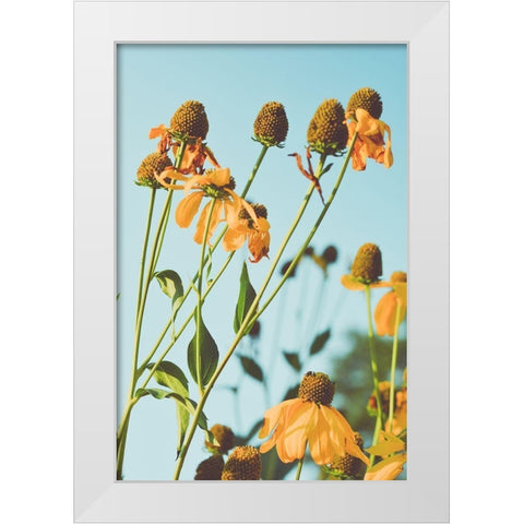 Reaching Sunlight  White Modern Wood Framed Art Print by Joy, Olivia