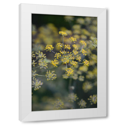 Little Yellow White Modern Wood Framed Art Print by Joy, Olivia