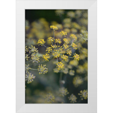Little Yellow White Modern Wood Framed Art Print by Joy, Olivia