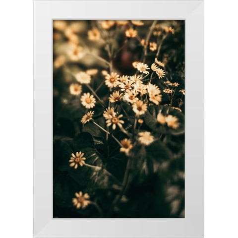 Little Garden White Modern Wood Framed Art Print by Joy, Olivia