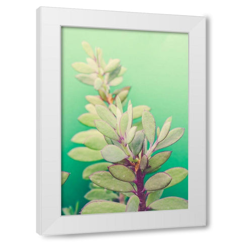 Green Blossom  White Modern Wood Framed Art Print by Joy, Olivia