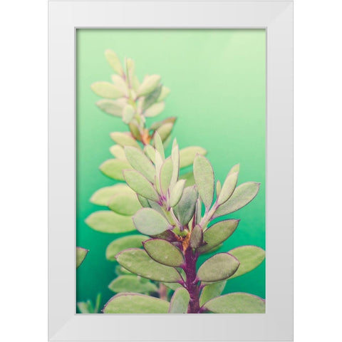 Green Blossom  White Modern Wood Framed Art Print by Joy, Olivia