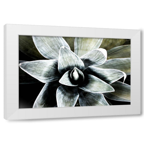 California Succulent White Modern Wood Framed Art Print by Orlov, Irena