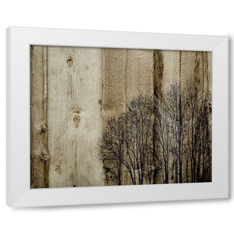 Three Barns White Modern Wood Framed Art Print by Kirshner, Dmitry