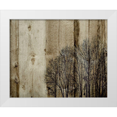 Three Barns White Modern Wood Framed Art Print by Kirshner, Dmitry