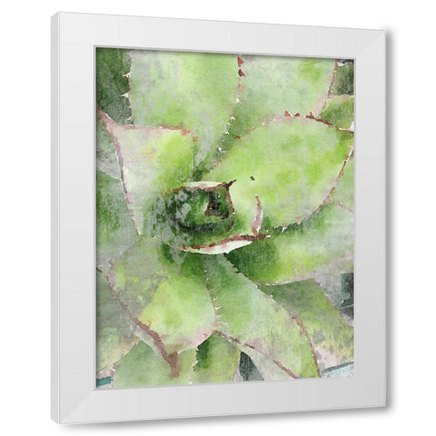 Rustic Green Succulent  White Modern Wood Framed Art Print by Orlov, Irena