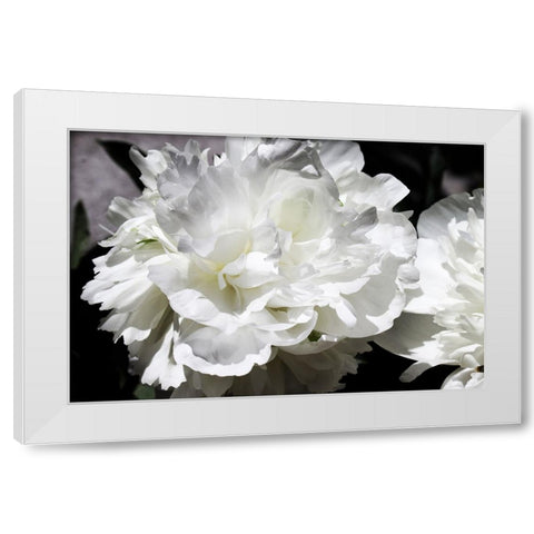 White Peony I  White Modern Wood Framed Art Print by Orlov, Irena