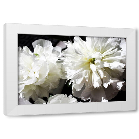 White Peony II  White Modern Wood Framed Art Print by Orlov, Irena