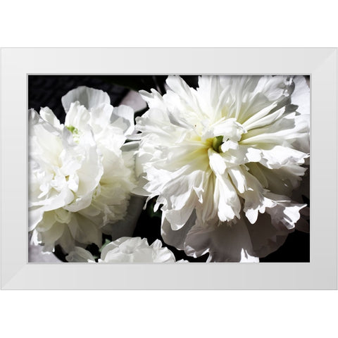 White Peony II  White Modern Wood Framed Art Print by Orlov, Irena
