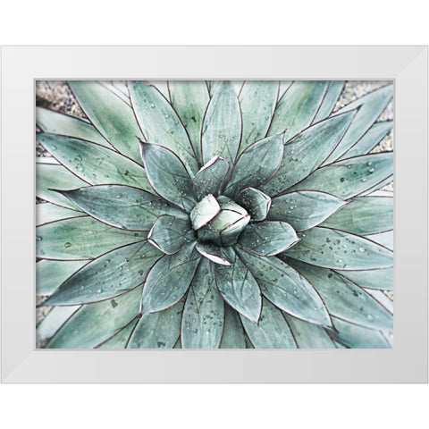 Stunning Agave I White Modern Wood Framed Art Print by Orlov, Irena