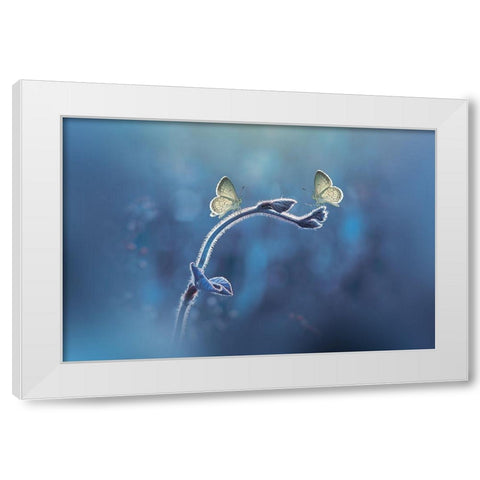 Priyadi-Two Butterflies Meet Each Other White Modern Wood Framed Art Print by 1x