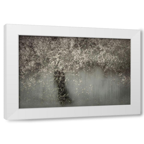 White Blossom White Modern Wood Framed Art Print by Talen