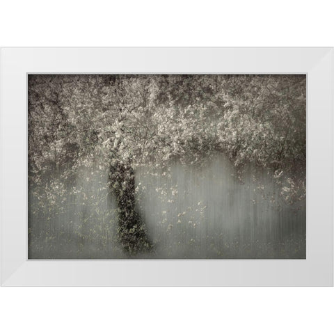 White Blossom White Modern Wood Framed Art Print by Talen
