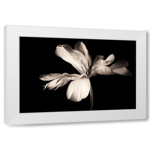 Untitled White Modern Wood Framed Art Print by Myles