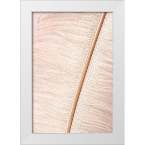Feather White Modern Wood Framed Art Print by Studio III