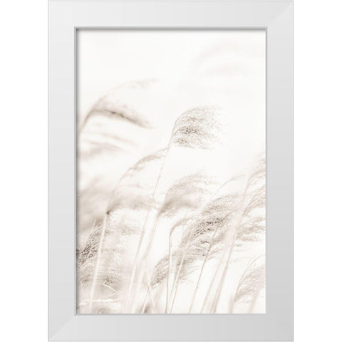 Reed White Modern Wood Framed Art Print by Studio III