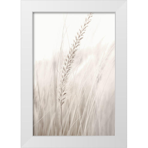 Grass White Modern Wood Framed Art Print by Studio III