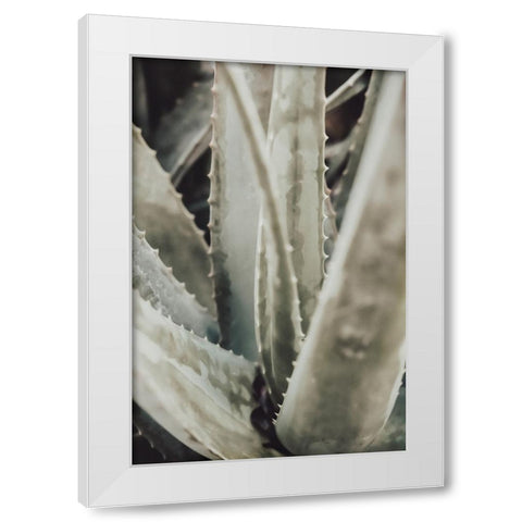 Studio III - Aloe 001 White Modern Wood Framed Art Print by Studio III