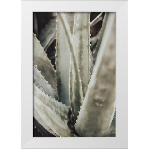 Studio III - Aloe 001 White Modern Wood Framed Art Print by Studio III