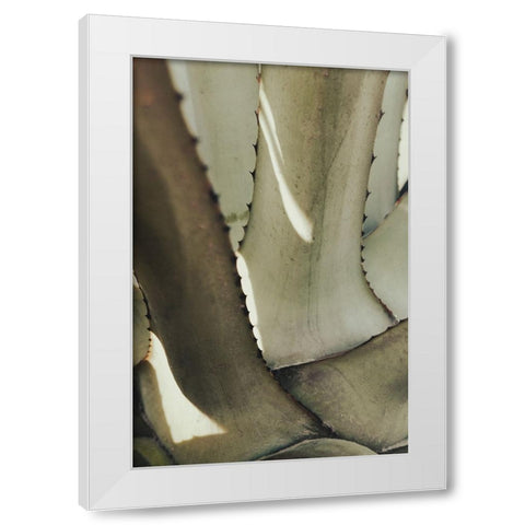 Studio III - Agave 002 White Modern Wood Framed Art Print by Studio III