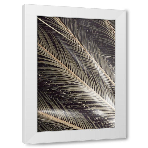 Studio III - Palmblad 002 White Modern Wood Framed Art Print by Studio III