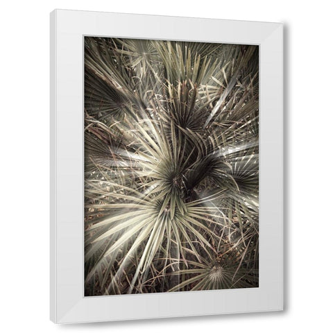 Studio III - Palmblad 006 White Modern Wood Framed Art Print by Studio III