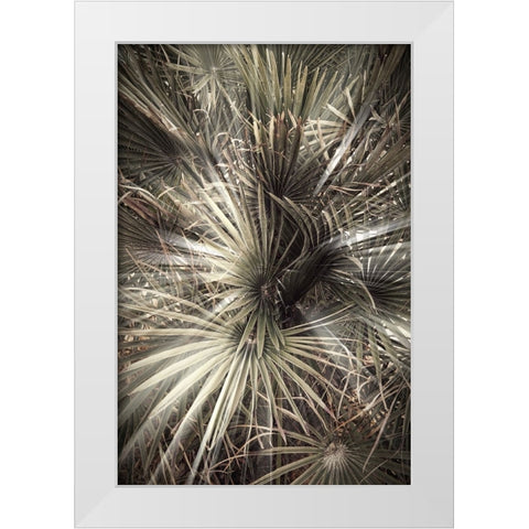Studio III - Palmblad 006 White Modern Wood Framed Art Print by Studio III