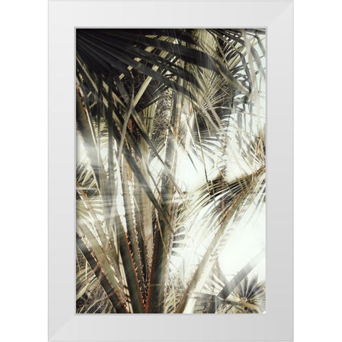 Studio III - Palmblad 003 White Modern Wood Framed Art Print by Studio III