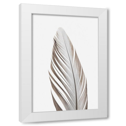 Studio III - Feather 003  White Modern Wood Framed Art Print by Studio III