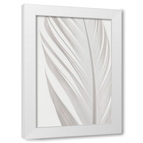 Studio III - Feather 006 White Modern Wood Framed Art Print by Studio III