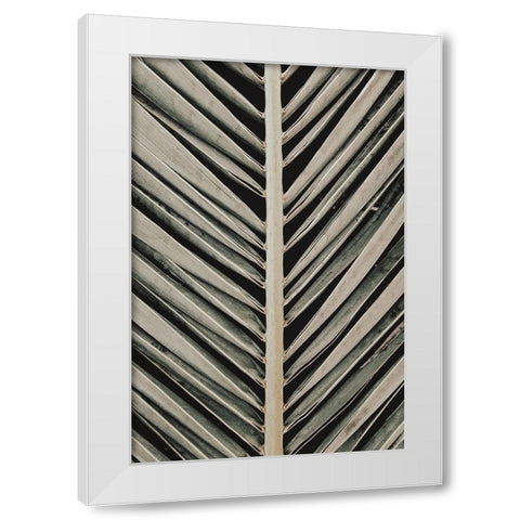Studio III - Palmblad 005  White Modern Wood Framed Art Print by Studio III